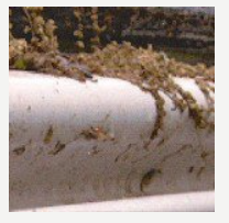 Debris piled on top of the Original GutterGuard, as photographed for NCR's review